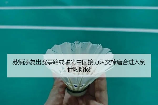 苏炳添复出赛事路线曝光中国接力队交棒磨合进入倒计时阶段