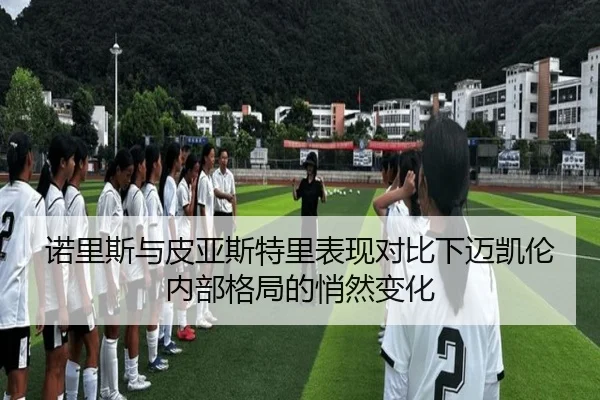 诺里斯与皮亚斯特里表现对比下迈凯伦内部格局的悄然变化
